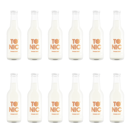 Tonik -TO NIC Ginger beer 12 sztuk 0,2l