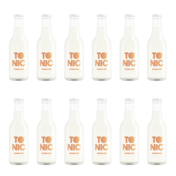Tonik -TO NIC Ginger beer 12 sztuk 0,2l